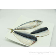 High Quality Frozen Mackerel Pacific Fish 400-600g